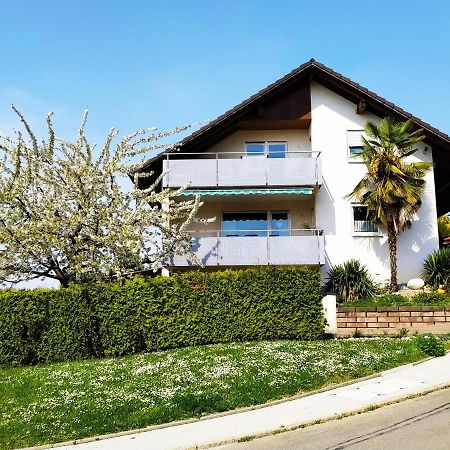 Haus Kramer Apartman Bad Bellingen Kültér fotó