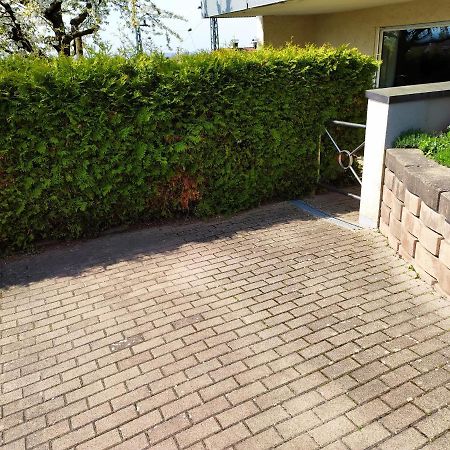 Haus Kramer Apartman Bad Bellingen Kültér fotó