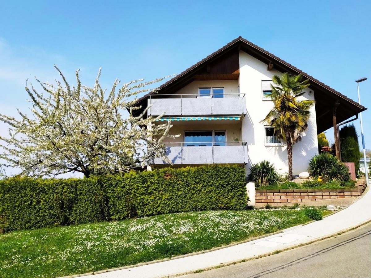 Haus Kramer Apartman Bad Bellingen Kültér fotó